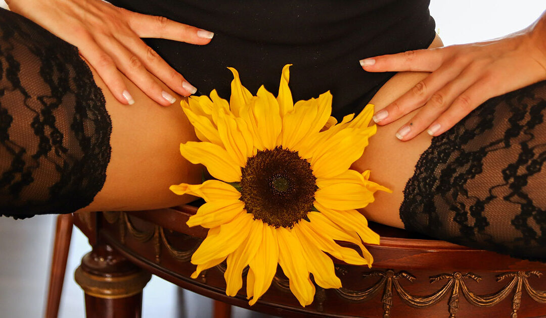 Understanding Female Sexual Anatomy: A Guide to Maximizing Pleasure